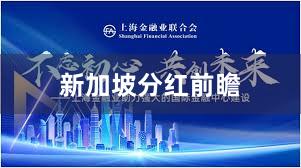 新加坡分红前瞻