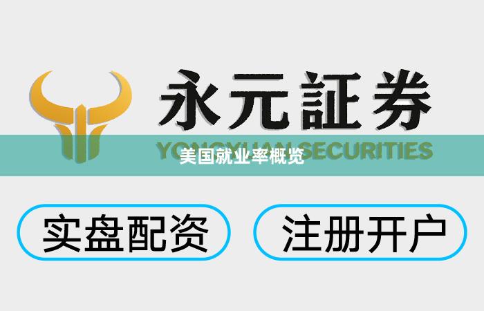 美国就业率概览