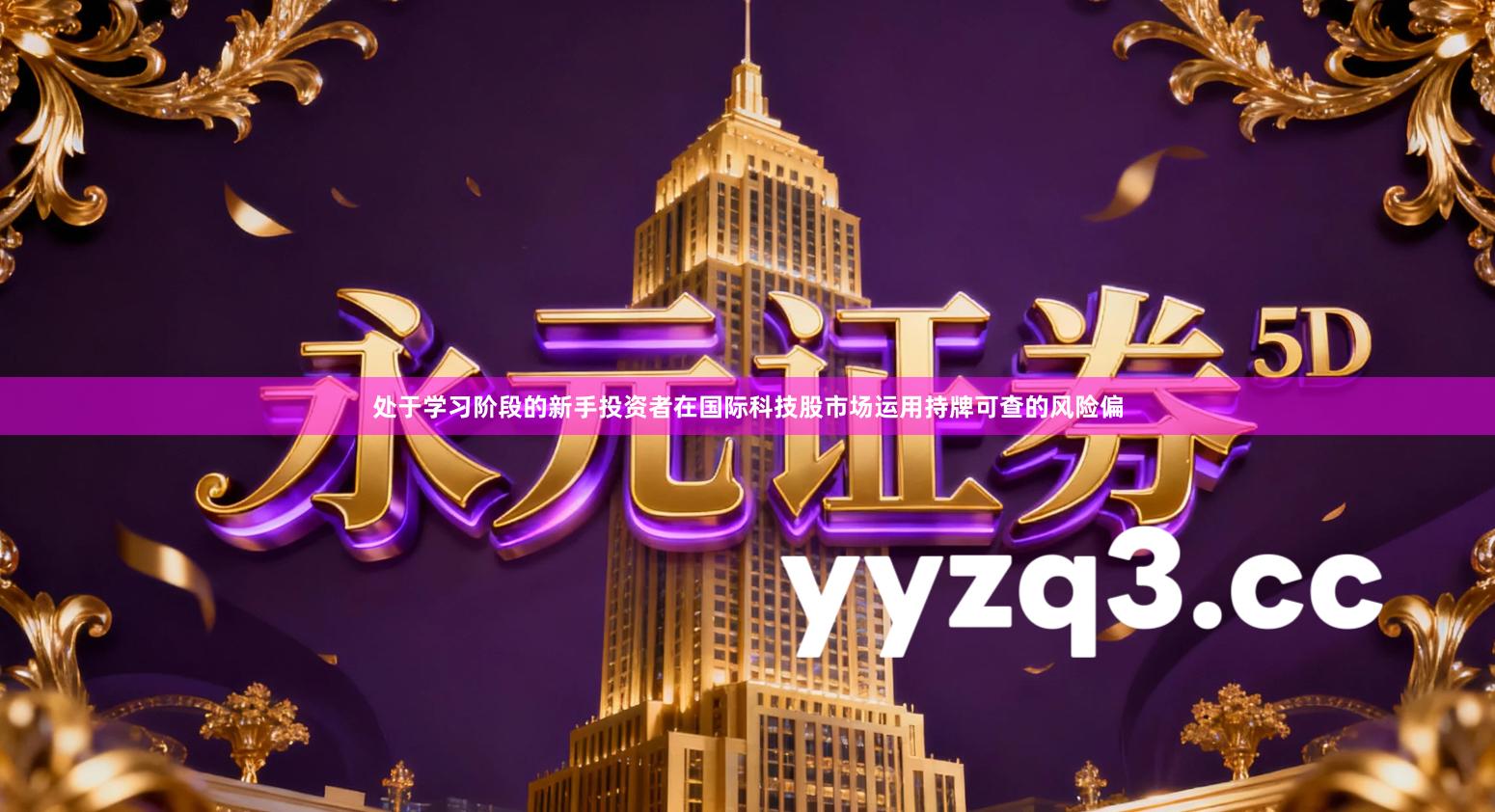 处于学习阶段的新手投资者在国际科技股市场运用持牌可查的风险偏