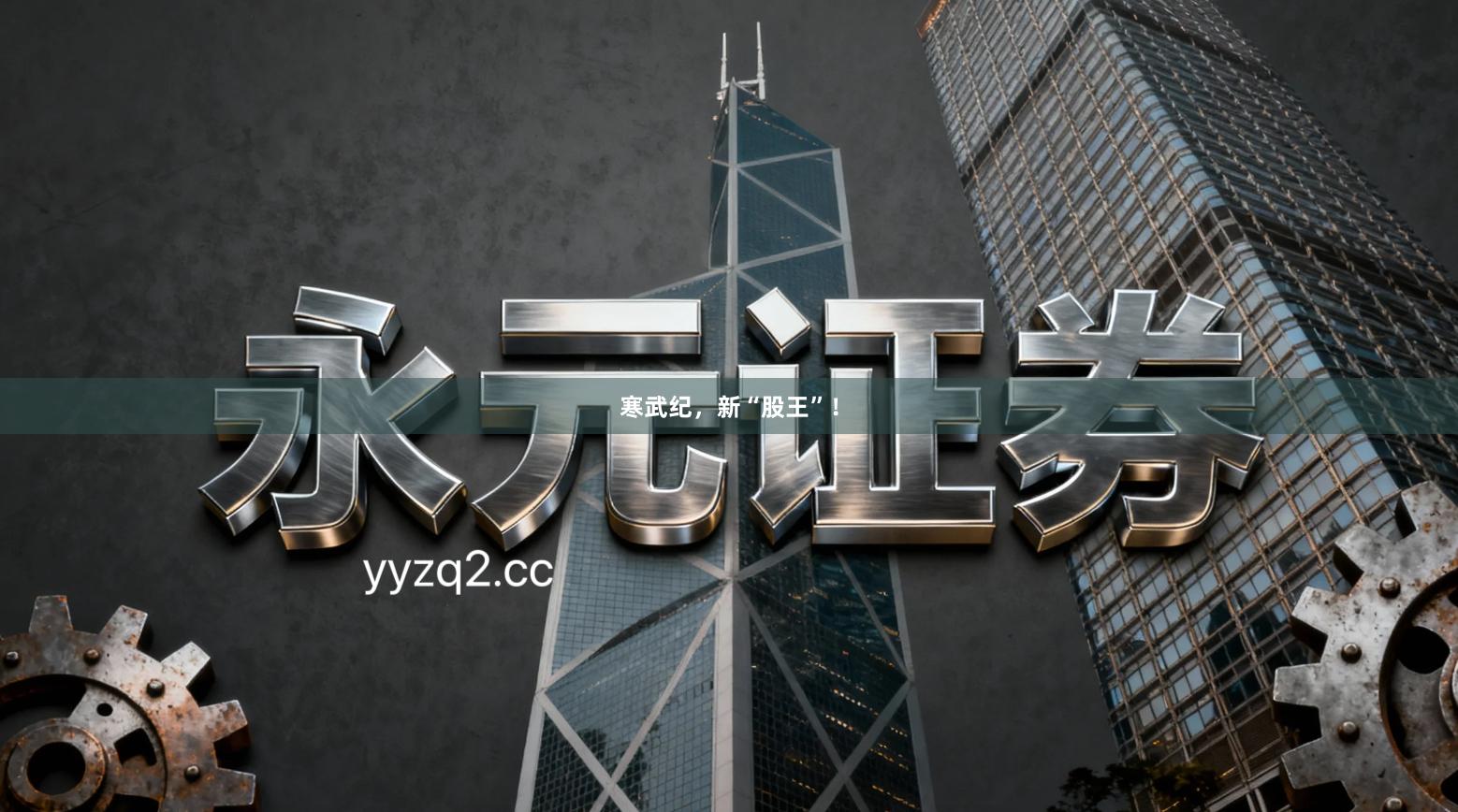 寒武纪，新“股王”！